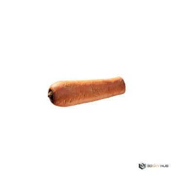 Carrot — Quixel 3D model for 3ds Max