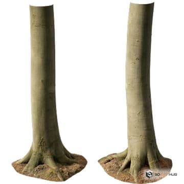Beech Tree Trunk — Quixel 3D model for 3ds Max