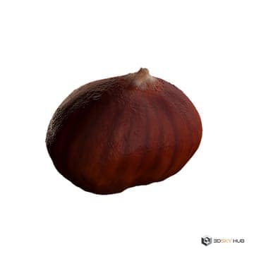 Chestnut — Quixel 3D model for 3ds Max
